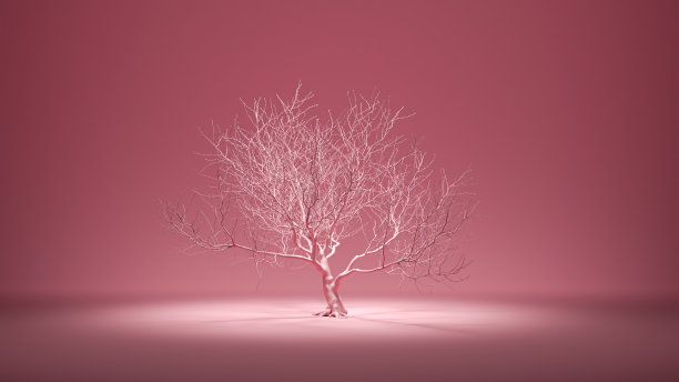 一棵干燥的老树，在纯粉色的环境中，没有叶子，3d渲染图片下载