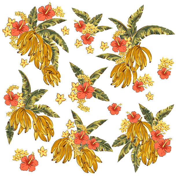 香蕉和南方植物的插图材料，图片下载