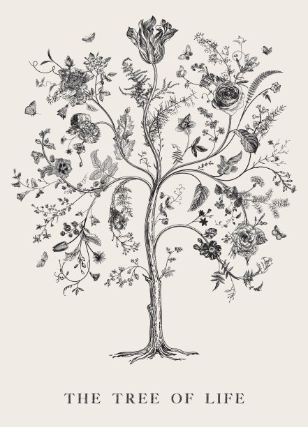 生命之树图片下载