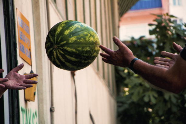 抓西瓜图片下载