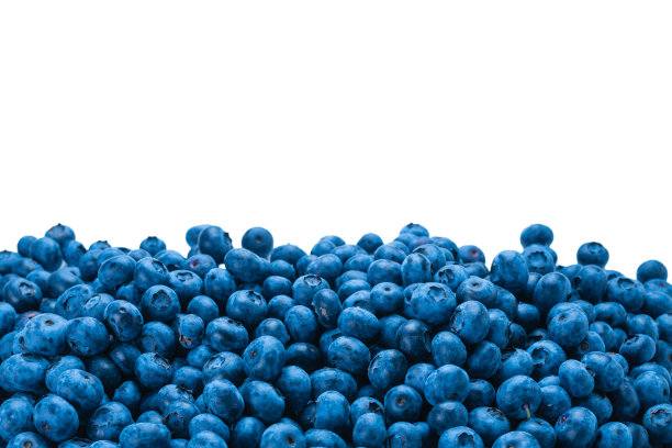 新鲜蓝莓背景。图片下载