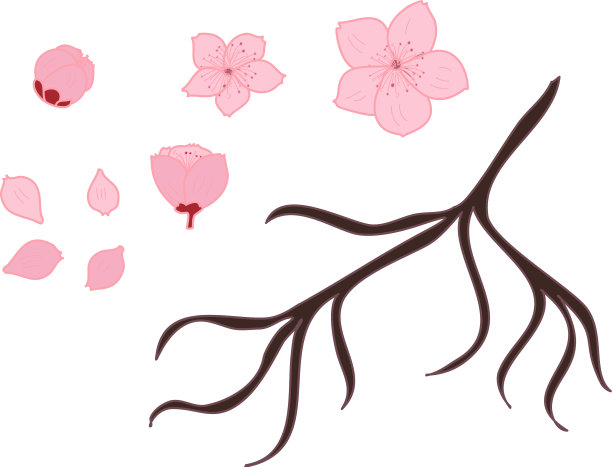 自由手樱花集图片下载