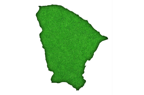 绿色毛毡上的塞阿拉地图，图片下载