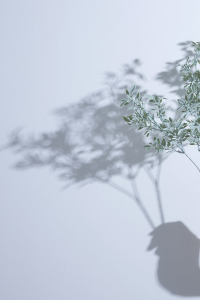 阳光和光线照在白色的背景上图片下载