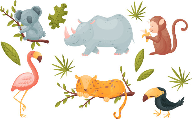 有角的犀牛和考拉的非洲动物图片下载