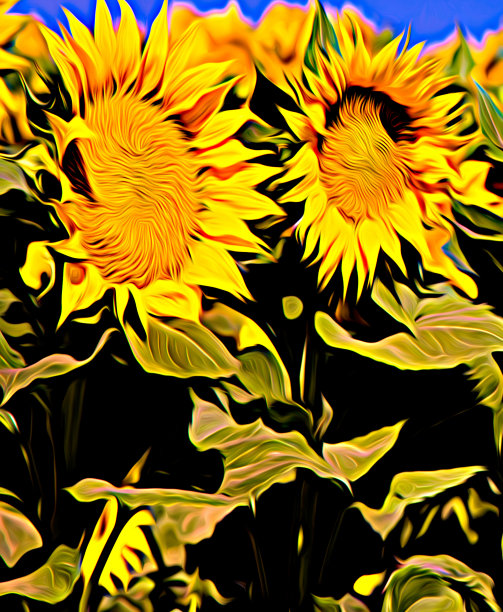 向日葵——印象主义图片下载