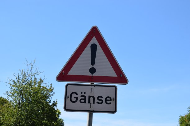 鹅警告标志图片下载