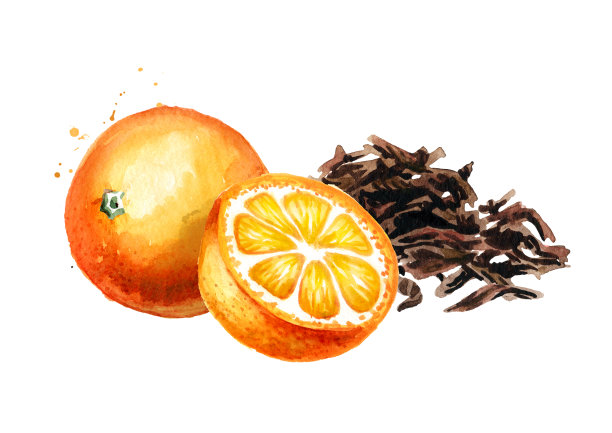 一堆干茶叶和橘子。手绘水彩插图孤立的白色背景图片下载
