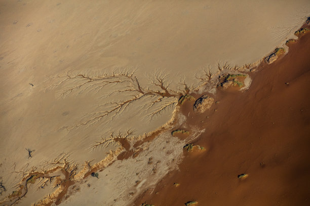 非洲纳米比亚Deadvlei的沙漠风景图片下载