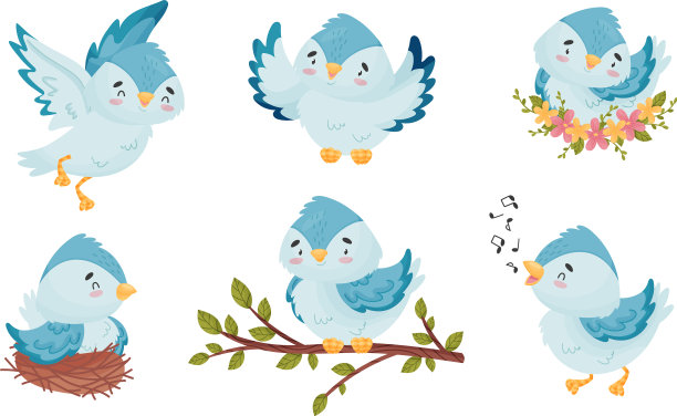 可爱的蓝鸟坐在鸟巢里，与飞翔图片下载