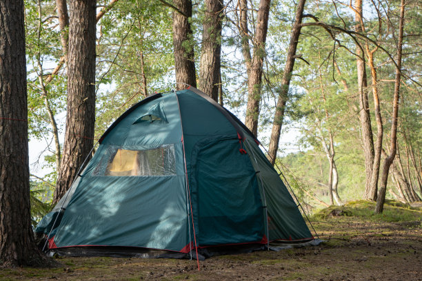 在湖边一片美丽的森林里，人们在露营地搭起了一个大的旅游帐篷。用帐篷露营。2019冠状病毒病隔离期间的森林自我隔离。图片下载