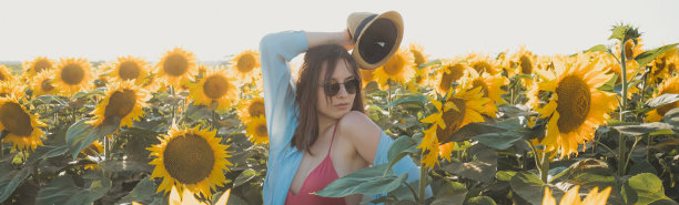 每天一株向日葵让快乐在游戏中保持图片下载