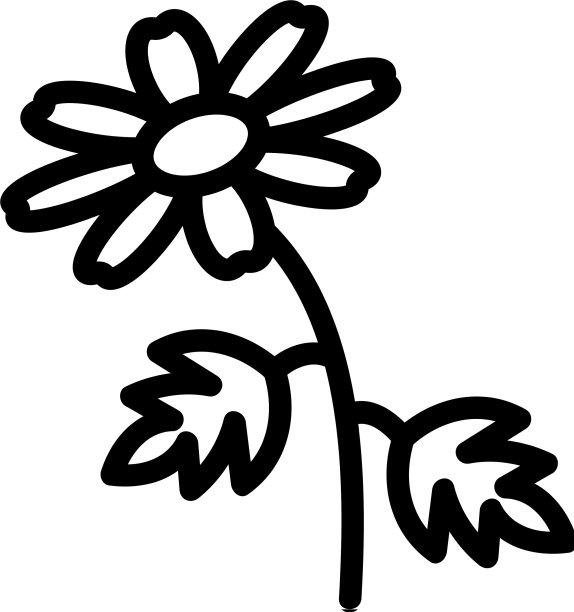 菊花图标大纲图片下载