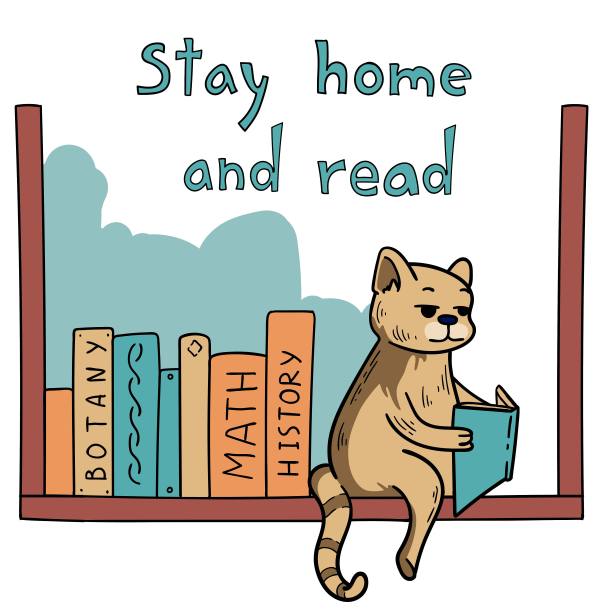 猫坐在书架上看书图片下载