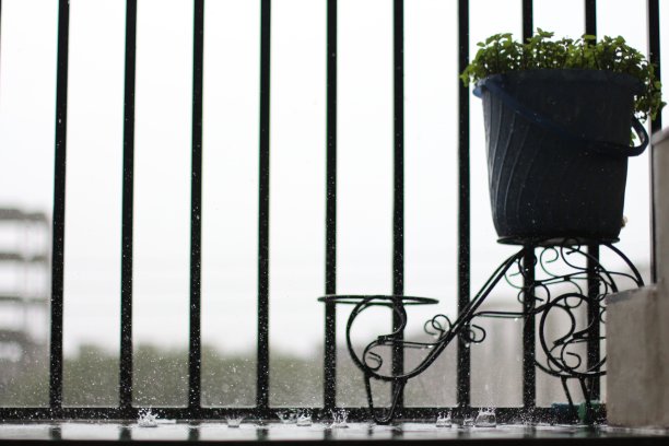 快乐的降雨图片下载