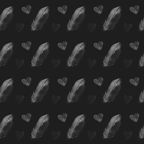 黑色的羽毛和心形。图片下载