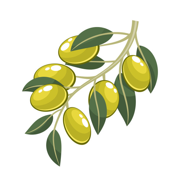 绿橄榄图片下载