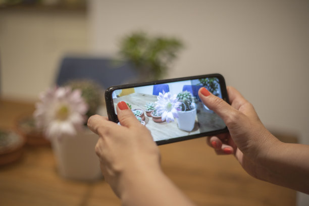 拍摄多肉植物图片下载