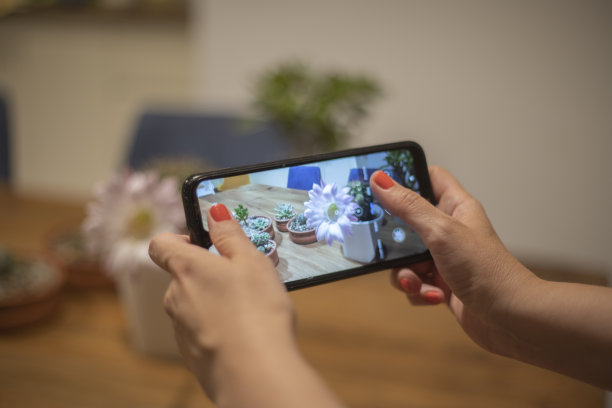 拍摄多汁植物图片下载