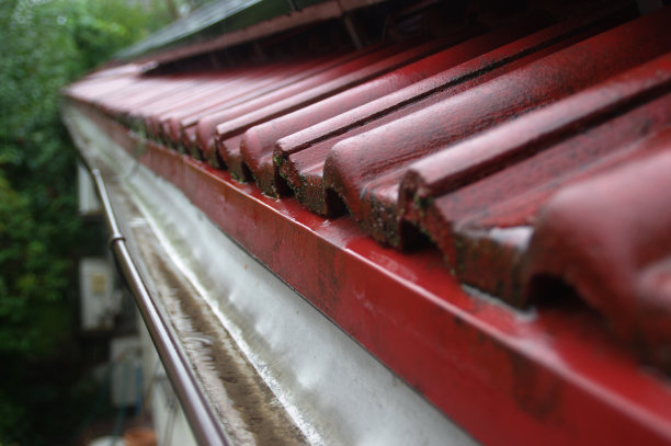 屋顶的瓦片和排水沟都湿了图片下载