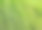 路边的绿草素材图片