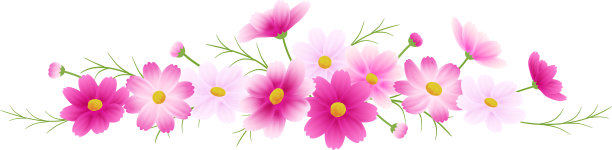 粉红色渐变的宇宙插花，卡通，秋天的形象图片下载