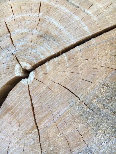 叶音调图片下载