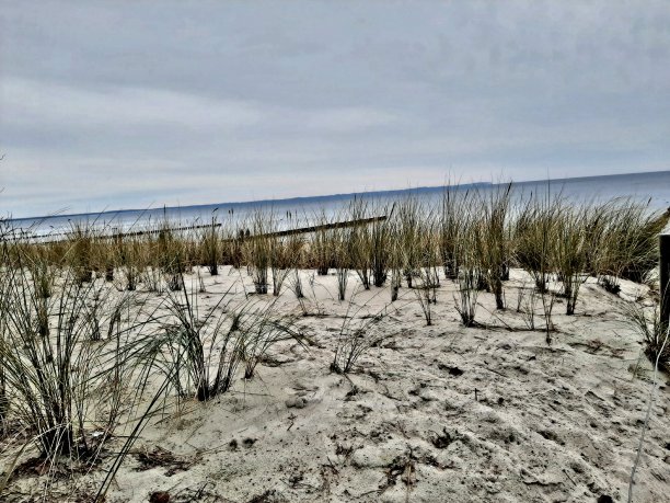 波罗的海图片下载