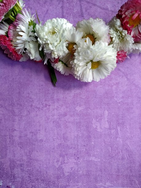紫丁香背景上的雏菊花环图片下载