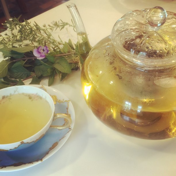 用花园里的草药自制茶图片下载