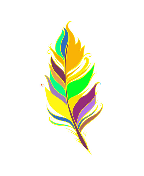 鲜艳多彩的羽毛孤立在白色上图片下载