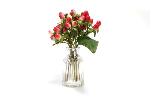 金丝桃浆果装在玻璃瓶里图片下载