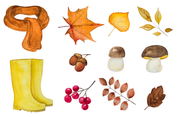 卡片上绘有各种各样的秋季主题图片下载