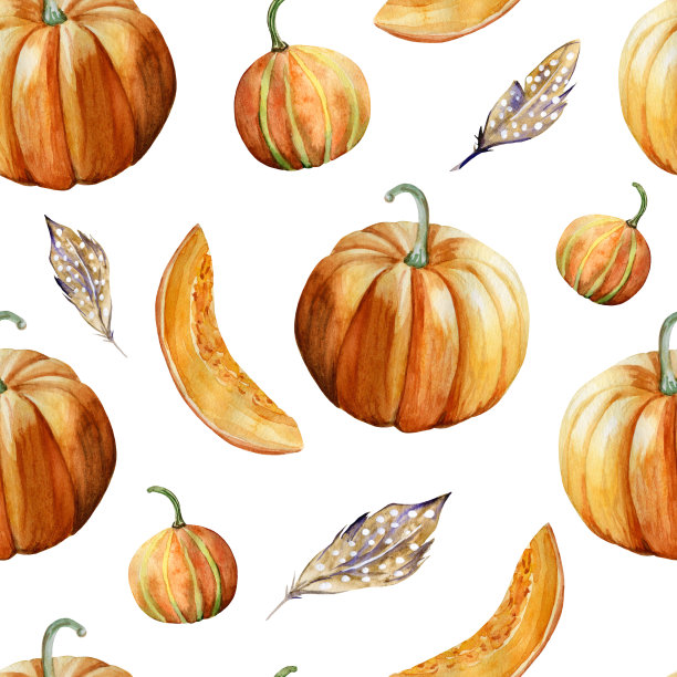 水彩手绘无缝图案与成熟的橙色南瓜，南瓜片和羽毛在白色的背景。图片下载