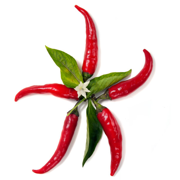 红辣椒以星星的形式在白色背景上，俯视图图片下载
