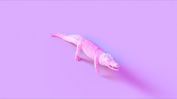 粉色行走的鳄鱼右侧视图图片下载