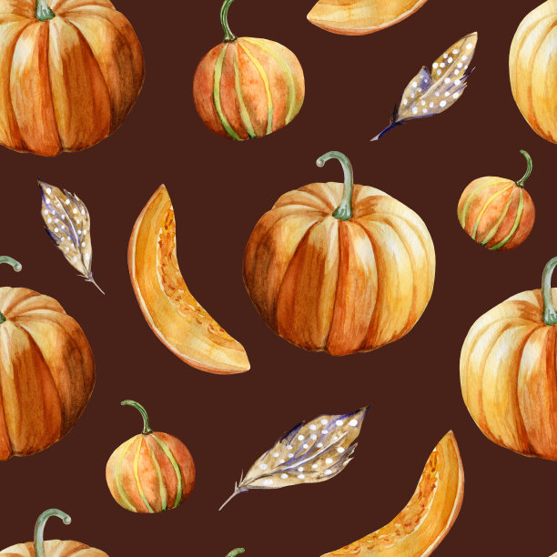 水彩手绘无缝图案与成熟的橙色南瓜和羽毛在棕色的背景。图片下载