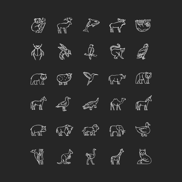 野生动物粉笔白色图标设置在黑色背景图片下载
