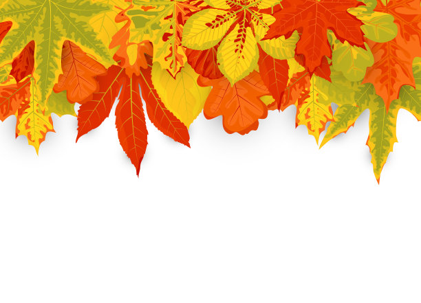 框架由秋天的枯叶在白色的背景。文本。很适合出售，派对邀请，网络，秋季节日，感恩节快乐。矢量插图。图片下载