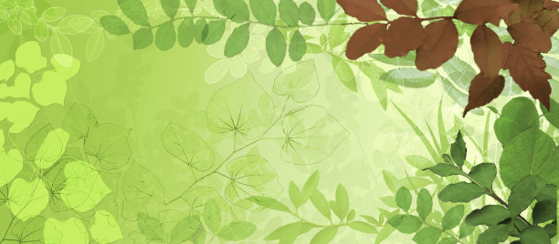 留下全景背景-小插图-复制空间图片下载