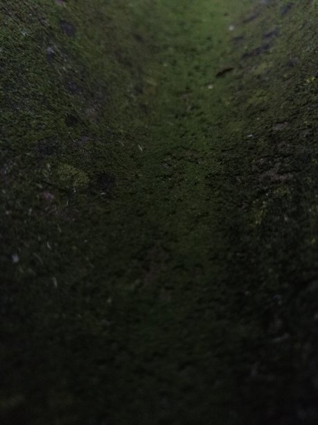 黑暗森林图片下载