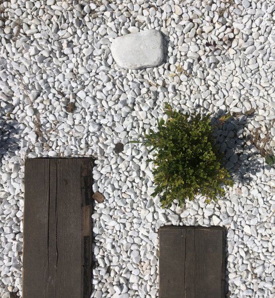 podima木工厂图片下载