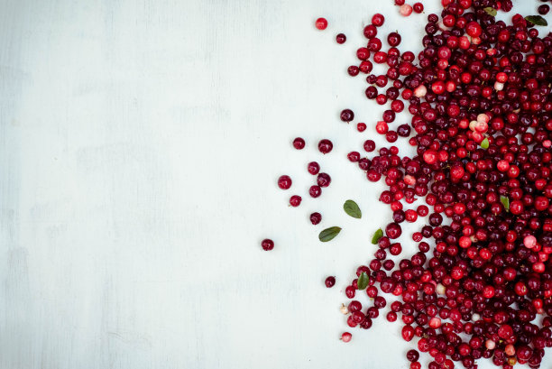 白色背景上的蔓越莓浆果图片下载