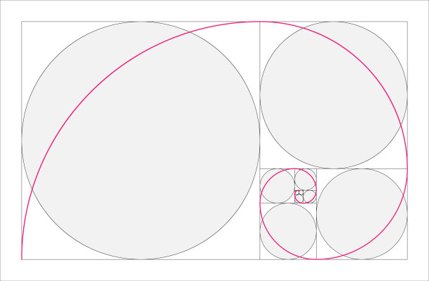 黄金比例几何概念。粉红色的斐波那契螺旋。矢量图图片下载