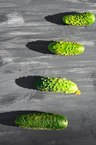 小黄瓜在阳光下有阴影图片下载