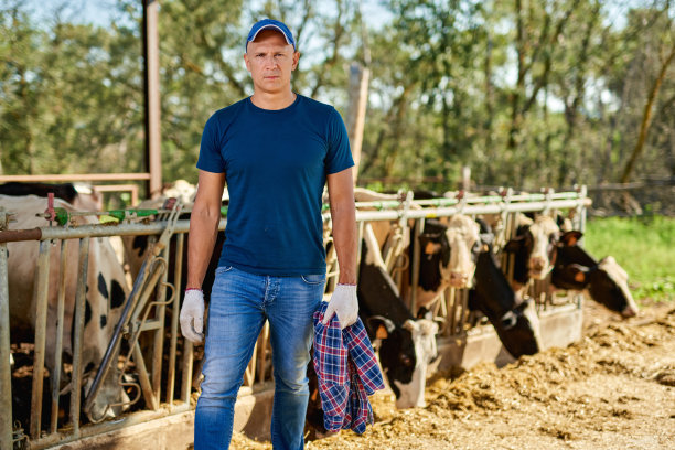 农夫在农场和奶牛一起工作。图片下载