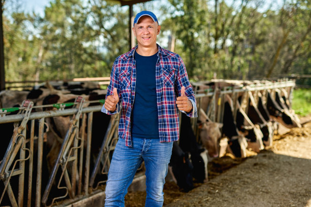 农夫在农场和奶牛一起工作。图片下载