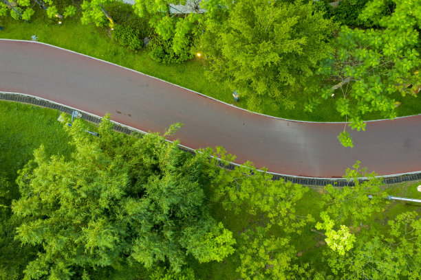 公园里绿树环绕的绿道图片下载