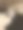 猫陷害图片下载
