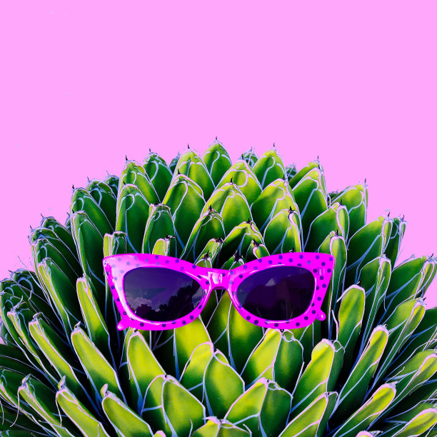 时尚的粉色太阳镜上的仙人掌背景。夏季配饰流行趋势图片下载
